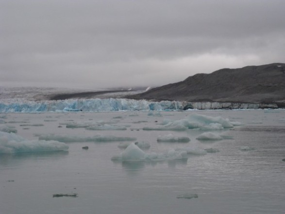 de orginele foto van mijn eerste ijsbeer op Spitsbergen